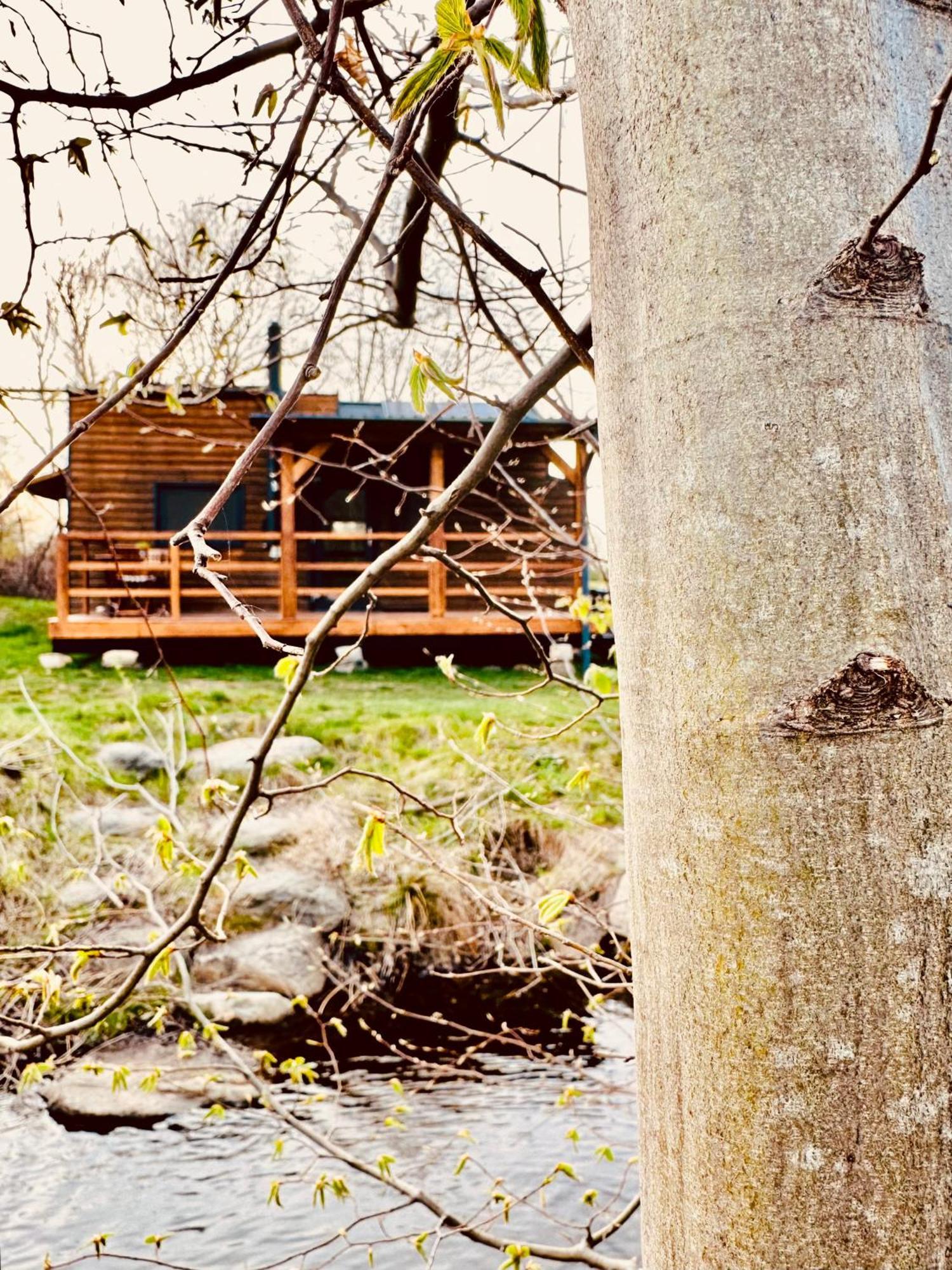 Tiny Home Dezsán Kültér fotó