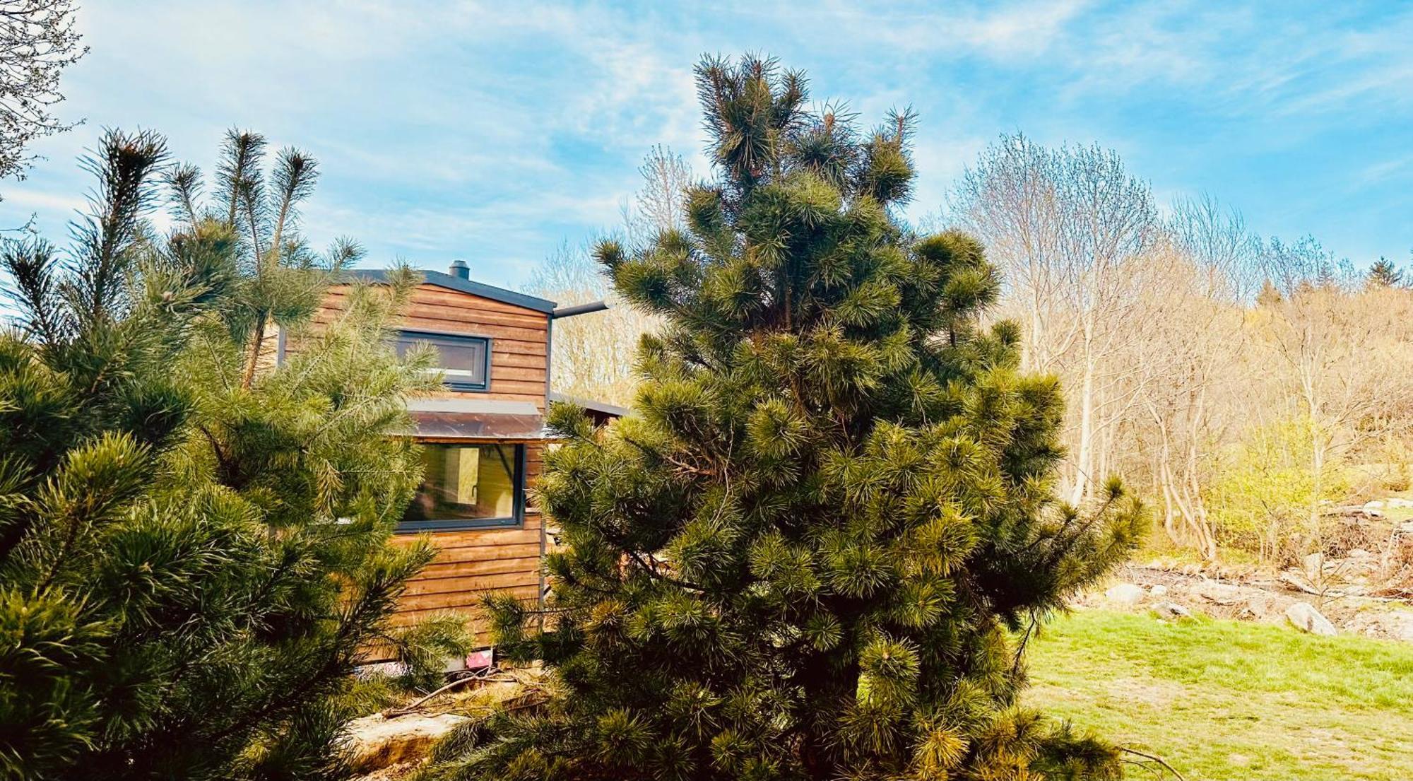 Tiny Home Dezsán Kültér fotó